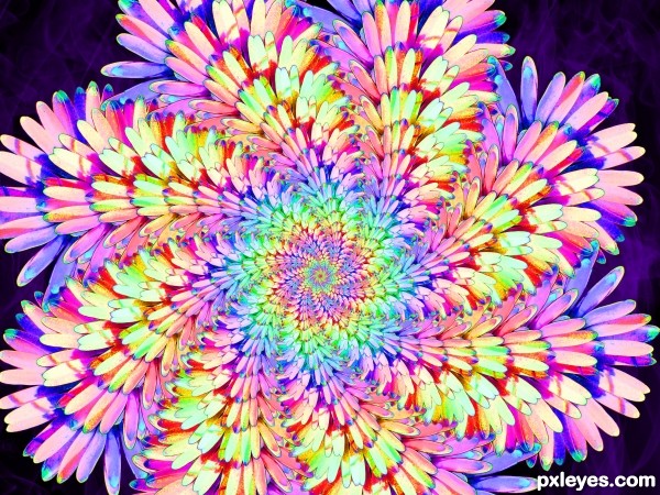 fractal daisy